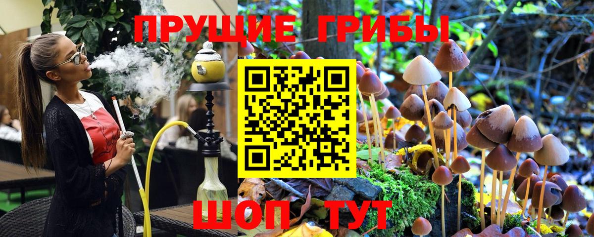 Казань  Псилоцибиновые грибы мицелий  Вход с VPN 