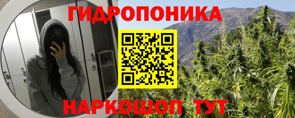 Шишки марихуана семена  Бошки марихуана сатива  Бошки марихуана конопля  Казань  МАРИХУАНА SATIVA & INDICA  Вход с VPN 